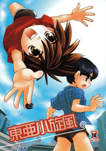 Toua Tsumujikaze cover