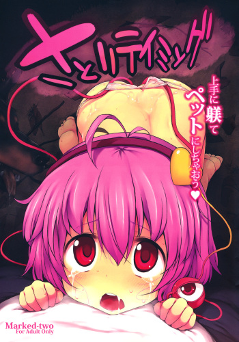 Satori Taming cover