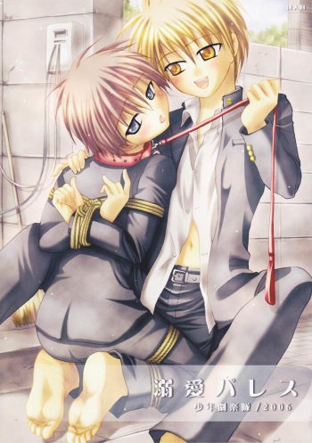 Dekiai Palace cover