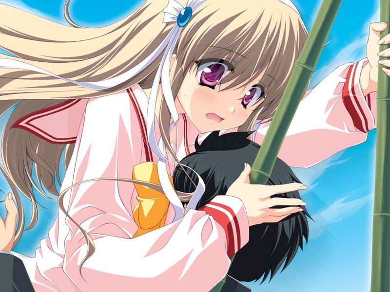 Honeycoming Clair Mini Fan Disc page 4 full