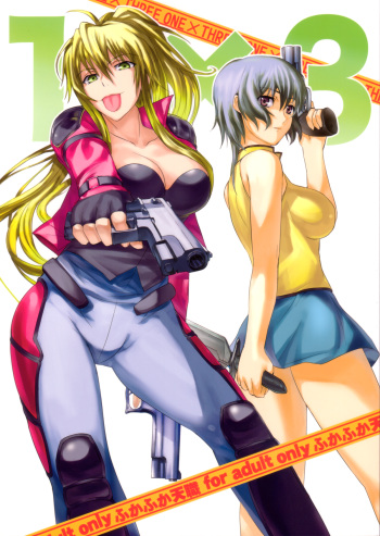 1×3 cover