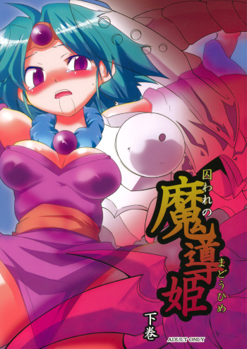 Toraware no Madouhime Gekan cover