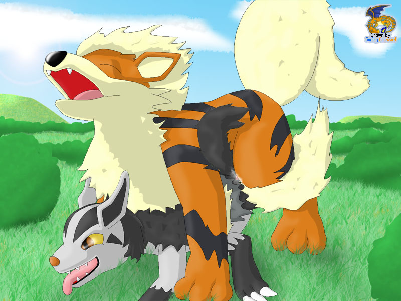 Pok&eacute;mon Arcanine page 3 full