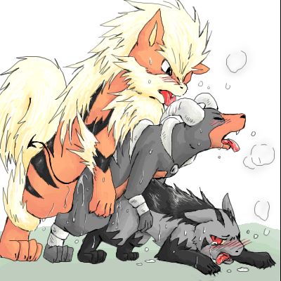 Pok&eacute;mon Arcanine page 5 full