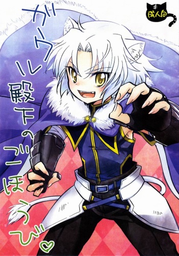 Gaul Denka no go Houbi cover