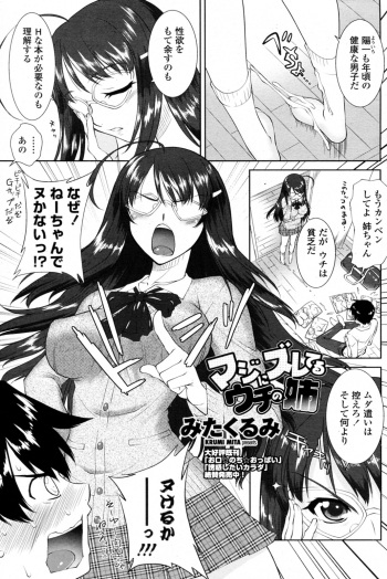 Maji ni Zureteru Uchi no Ane cover