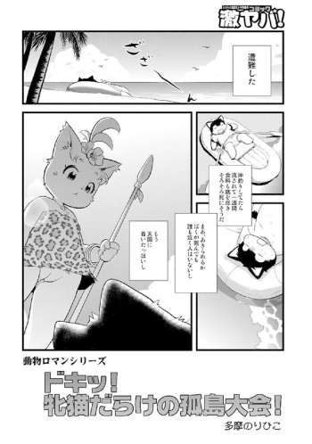 Wild Island Full of Female Cats! cover