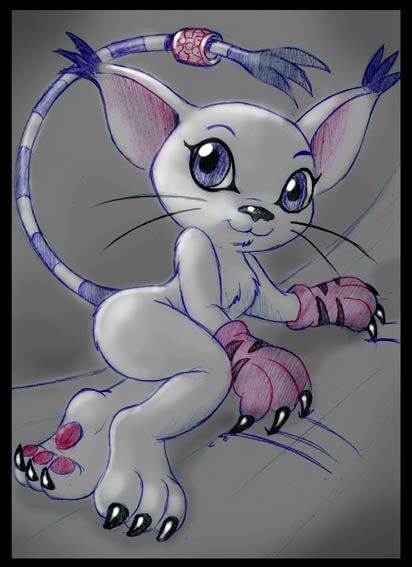 my favorite gatomon pictures page 2 full