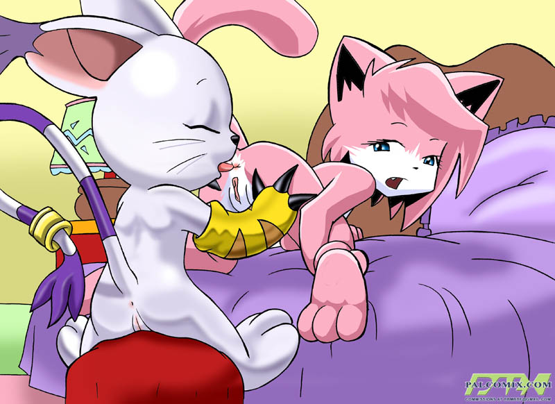 my favorite gatomon pictures page 5 full