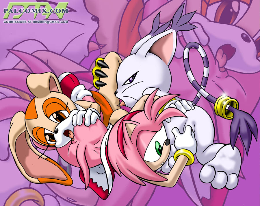my favorite gatomon pictures page 6 full