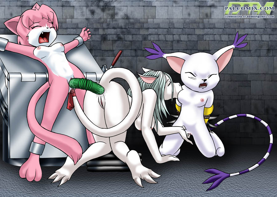 my favorite gatomon pictures page 9 full
