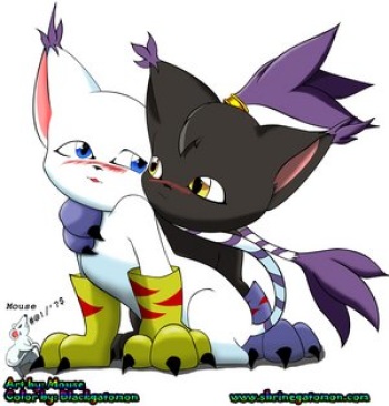 my favorite gatomon pictures cover