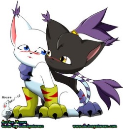 my favorite gatomon pictures