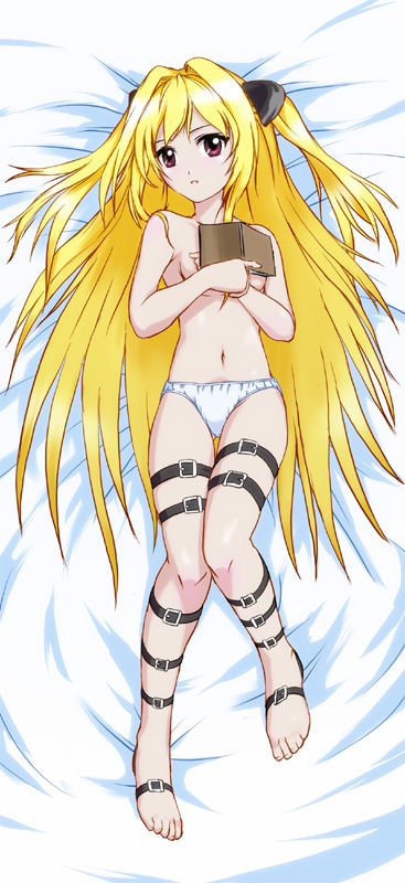 Dakimakura Collection page 1 full
