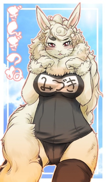 Hyphen-Man's Furry Folder Vol.12 cover