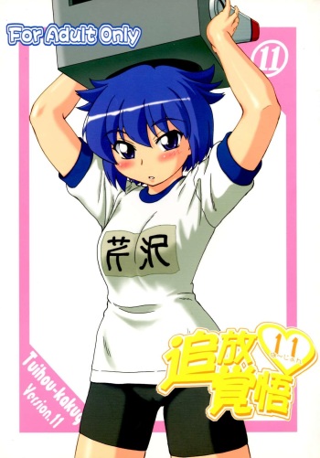 Tuihou-kakugo Version.11 cover