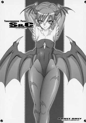 S&amp;C -LiLith- cover