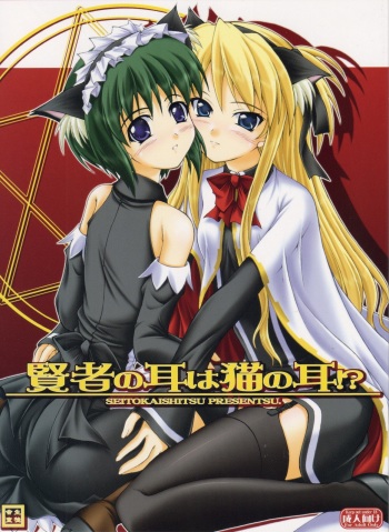 Kenja no Mimi wa Neko no Mimi!? cover