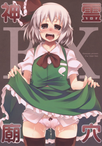 Shinreibyouketsu EX cover