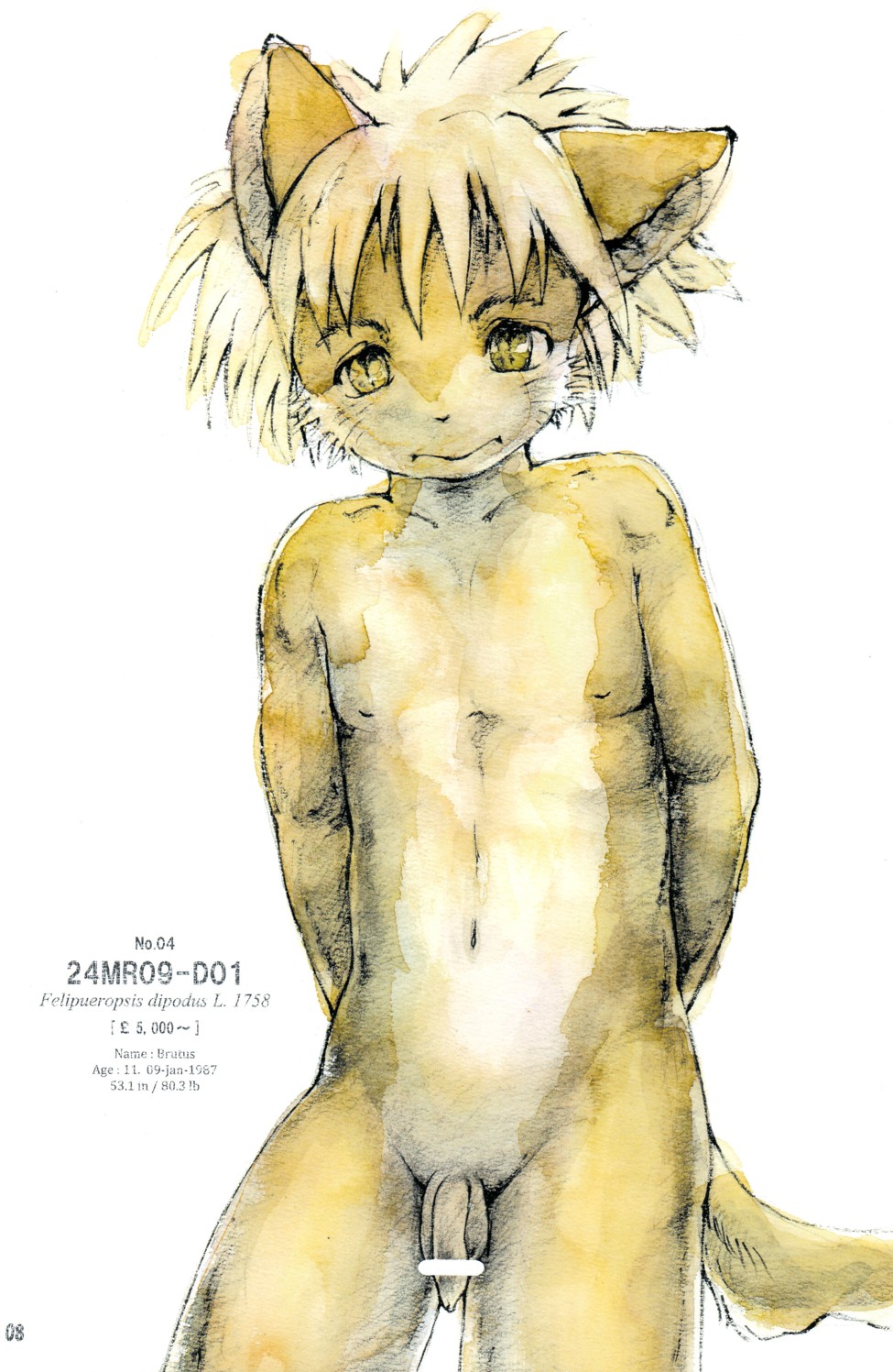 Matsumi Yuu - The Catalogue of 20 Furboys page 8 full