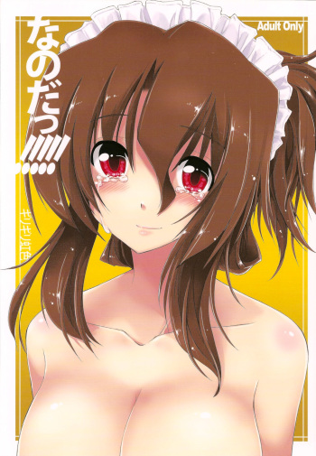 Nanoda!!!!! + Omake cover