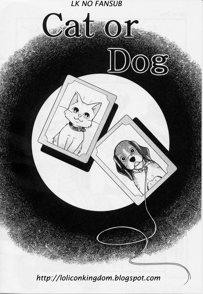 Cat or Dog page 1 full