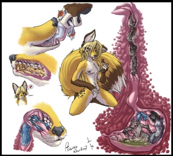 Vore, Unbirth &amp; absorpsion cover