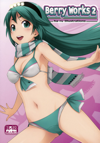 Berry Works 2 ha-ru Illustrations cover