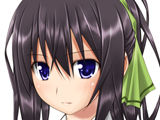Infinite Stratos Datsui Mahjong ~Nippon Daihyou Shinonono Houki~ page 2 full