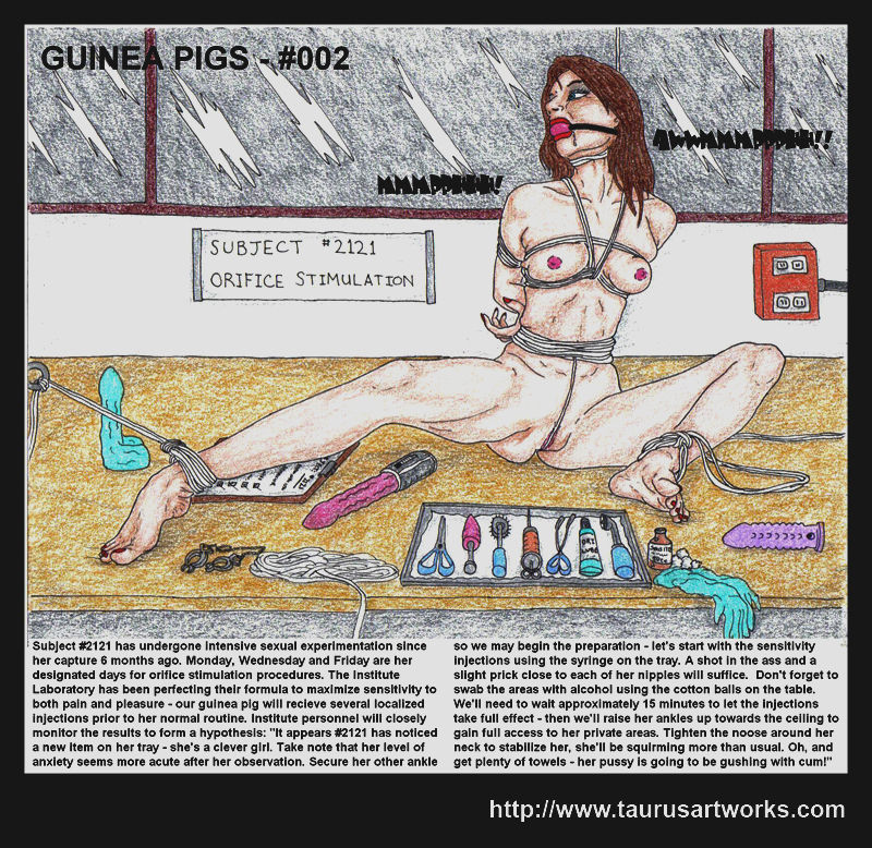 GUINEA PIGS page 4 full