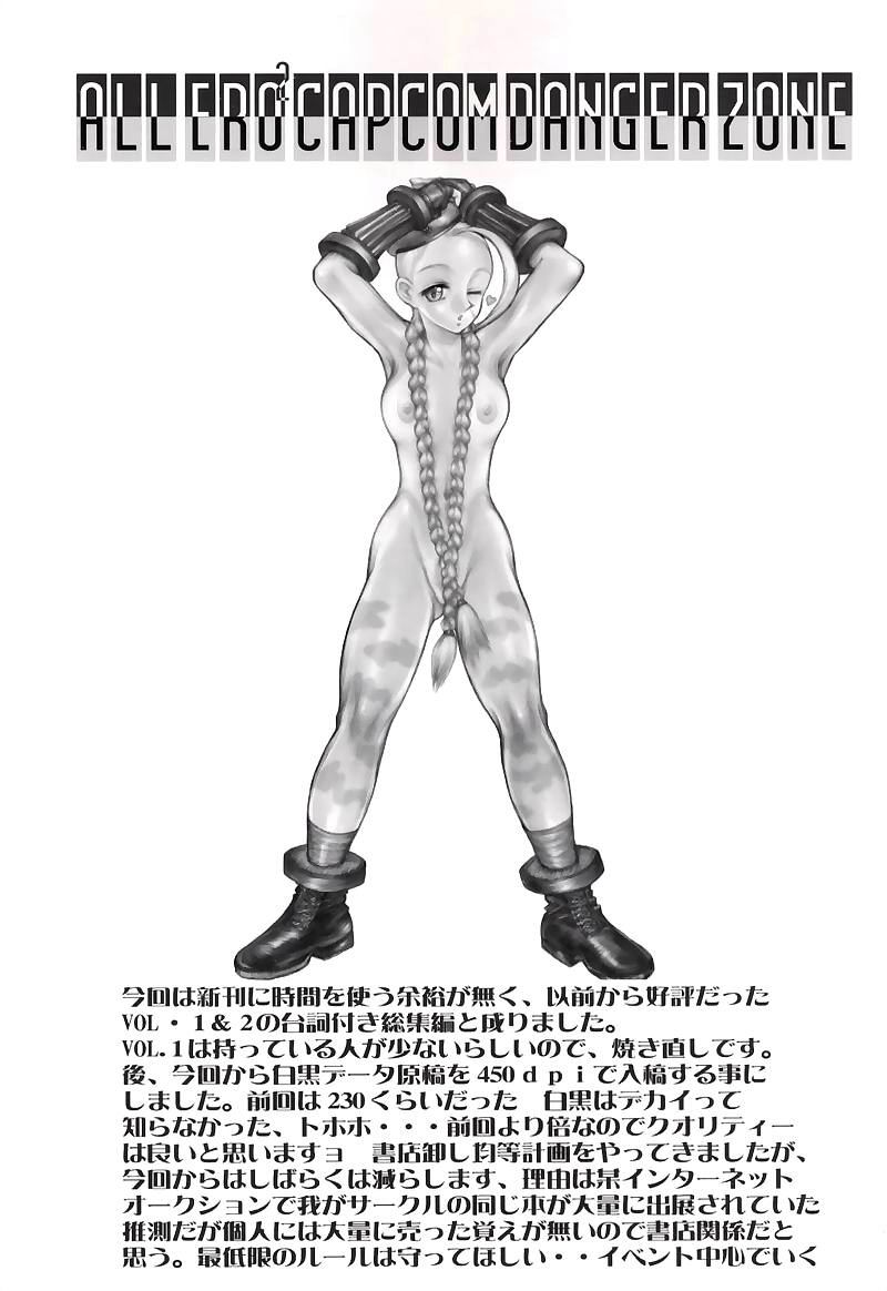 DANGER ZONE-FILES ALL ERO2 CAPCOM COMPLETE-SP page 2 full