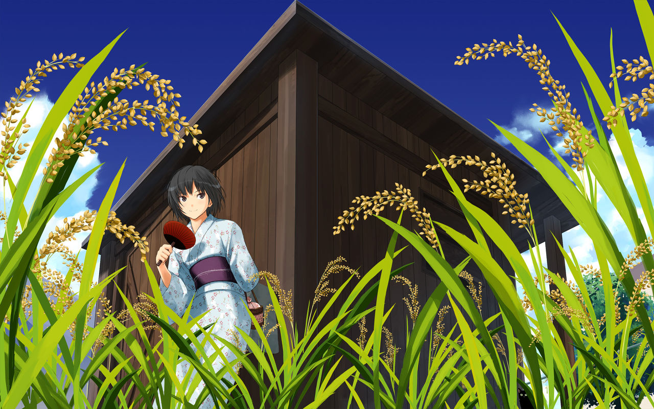Pack Amagami SS Hentai page 10 full