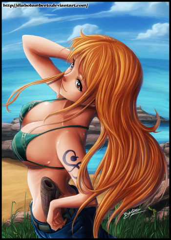 One Piece cover
