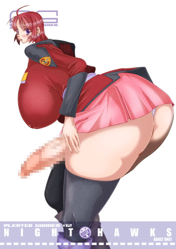 PLEATED GUNNER #12 cover