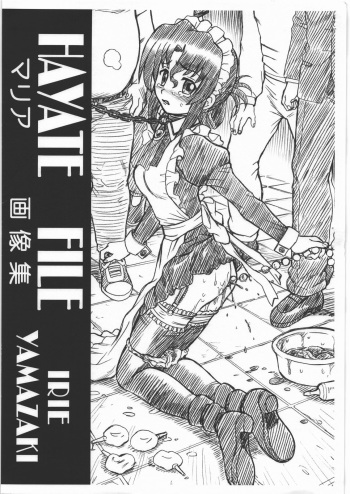 HAYATE FILE Maria Gazoushuu cover