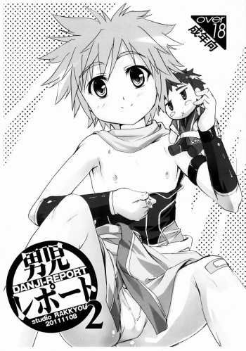 Danji Report! FILE: 2 cover