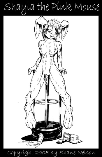 Art Collection cover
