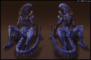 Xenophilia cover