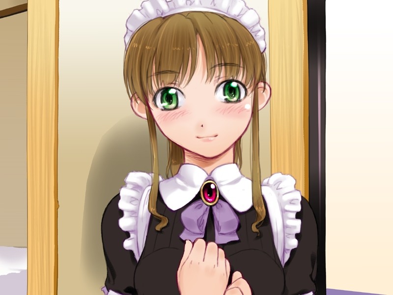Maid Uniform Collection page 5 full