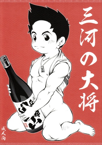 Mikawa no Taishou cover