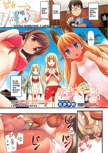 Koiito Island e Youkoso cover