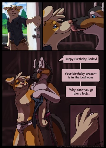 Birthday present cover