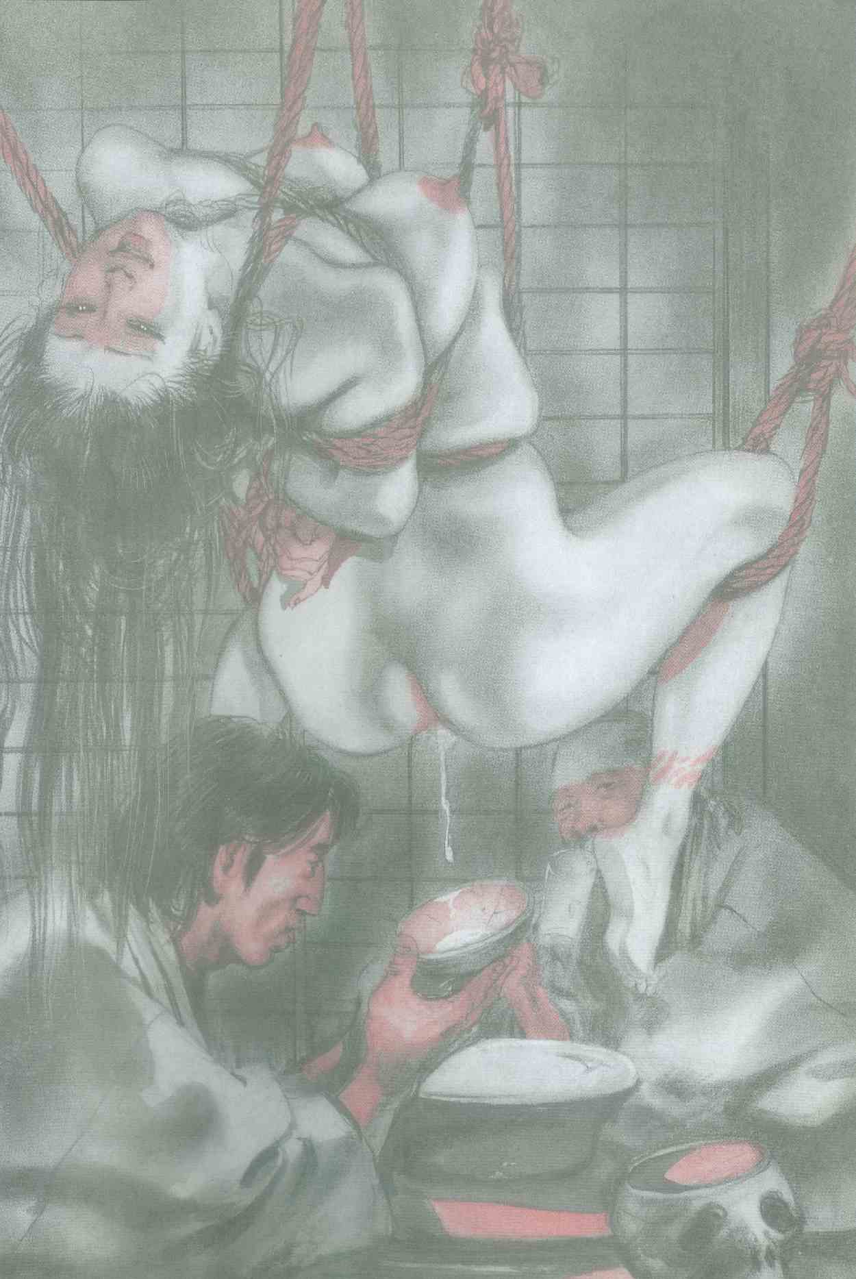 SM illustrations page 8 full