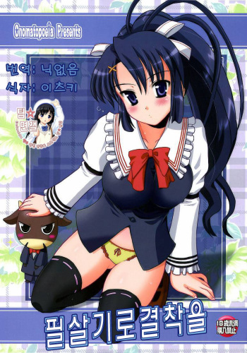 Hissatsuwaza de Kecchaku wo cover
