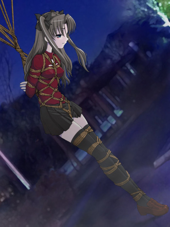 fate stay a 2 cover