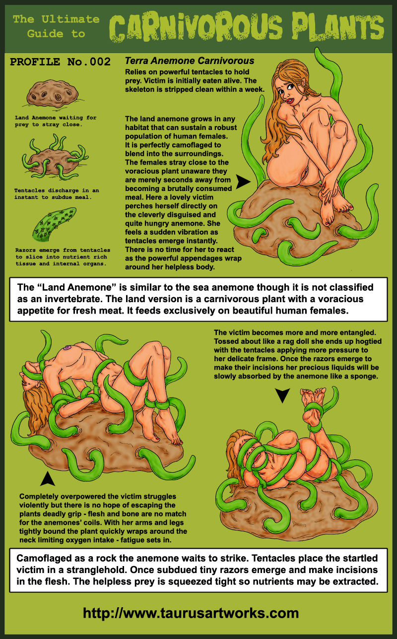Carnivorous plants page 2 full