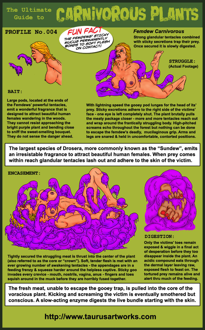Carnivorous plants page 4 full