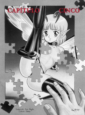 Bondage Fairies The Original Cap. 05 cover