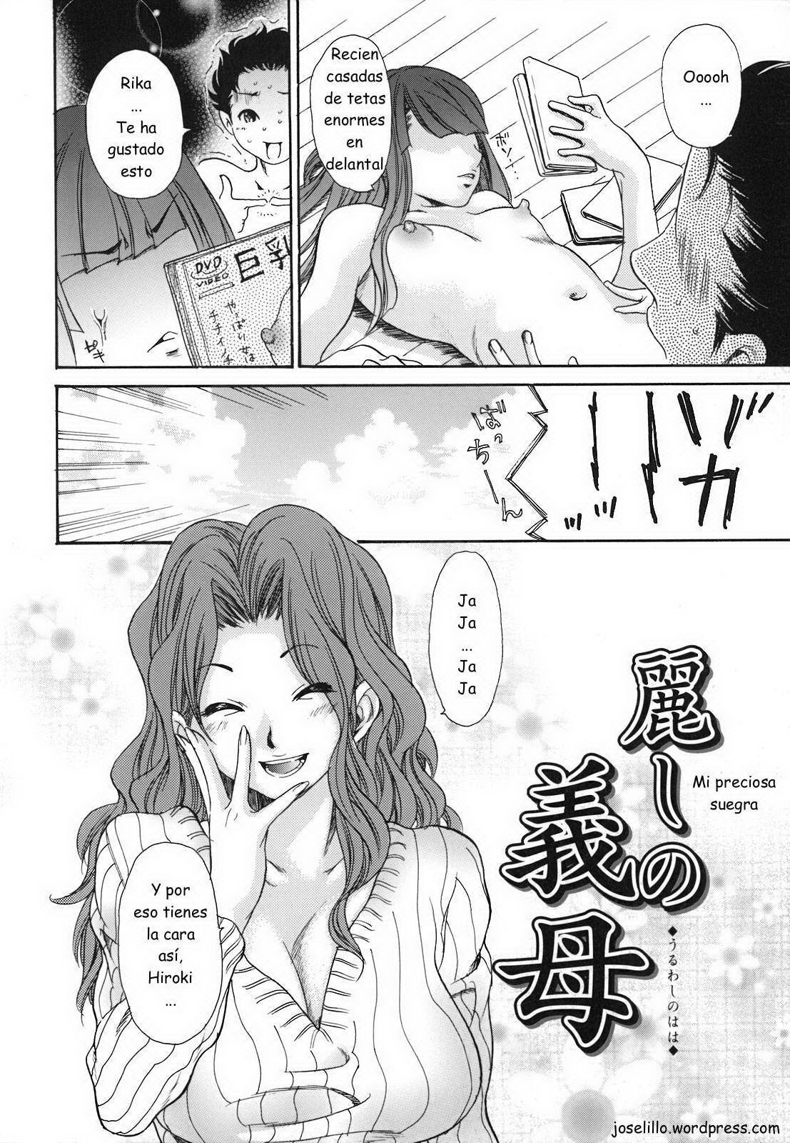 Uruwashi no Gibo | Mi preciosa suegra page 2 full