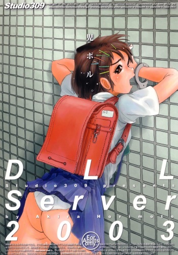 DLL Server 2003 cover